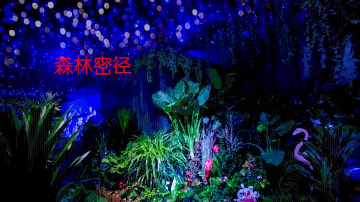 可爱的小孔雀救援